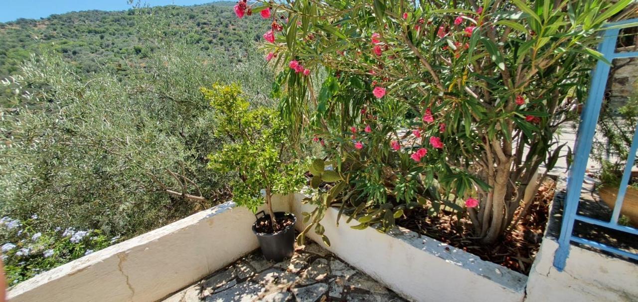 Maison Charme Avec Piscine Privee, Pres De La Mer A Sappounakeika, Tyros Sapounakeika المظهر الخارجي الصورة